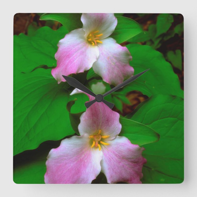 Trillium Wildflower Square Wall Clock (Front)