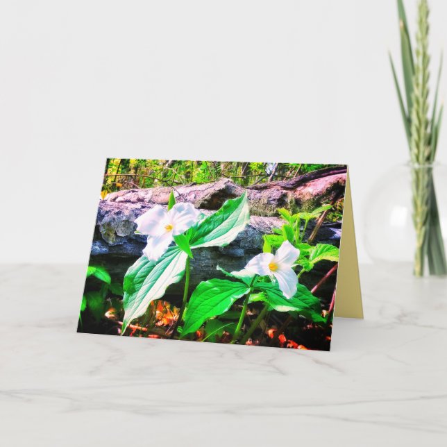 TRILLIUMS BRIGHT GREETING CARD (Front)