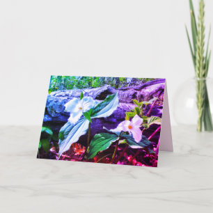 TRILLIUMS RAINBOW GREETING CARD