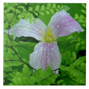 TRILLLIUM AND FERNS CERAMIC TILE/TRIVET TILE