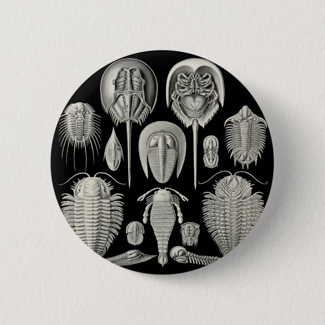 Trilobite! 2 Inch Round Button (Front)