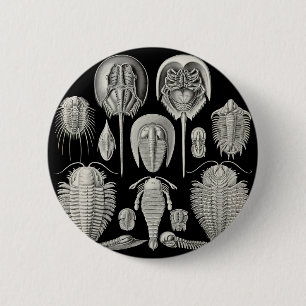 Trilobite! 2 Inch Round Button