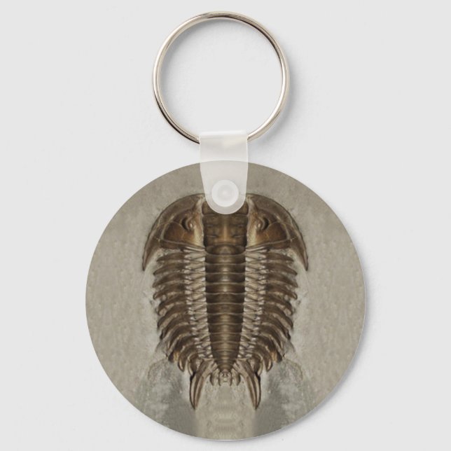 Trilobite Fossil Keychain (Front)