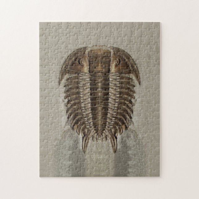 Trilobite Fossil Puzzle (Vertical)