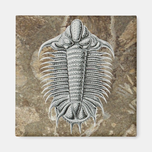 Trilobite Magnet (Front)