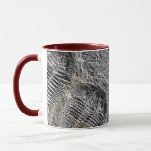 Trilobite Mug
