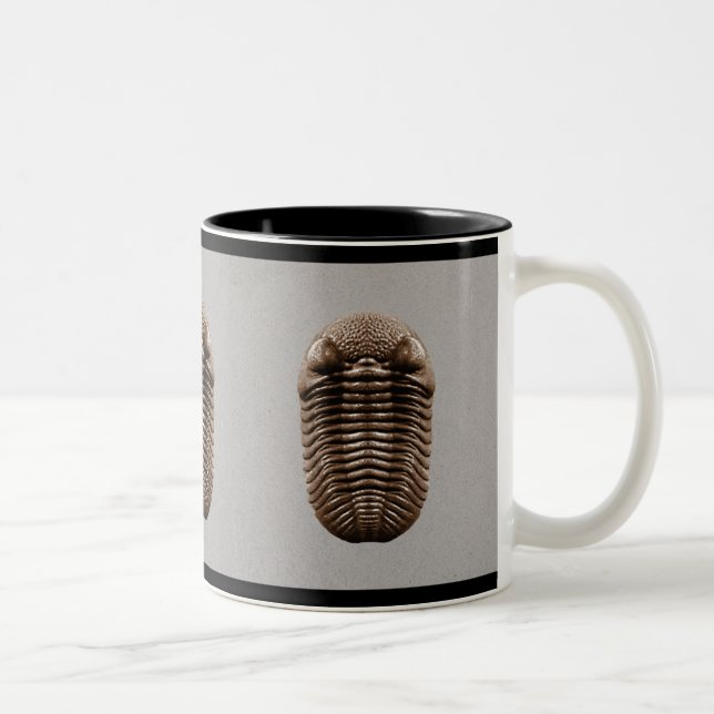 Trilobite Mug (Right)