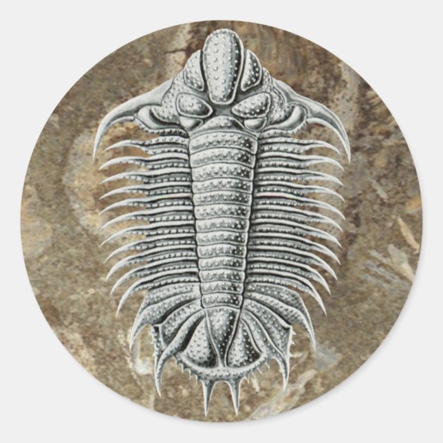 Trilobite Sticker (Front)