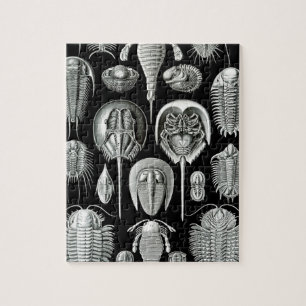 Trilobites and Fossils in Black and White Jigsaw Puzzle