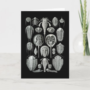 Trilobites and Sea Scorpions Card