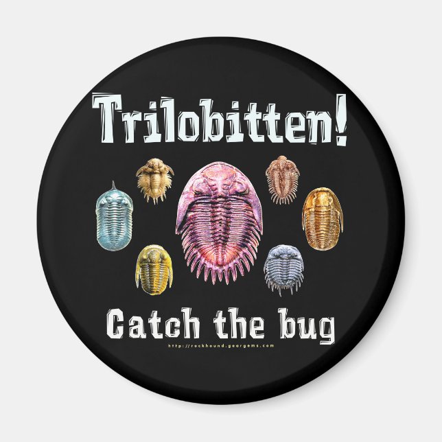 Trilobitten Magnet (Front)