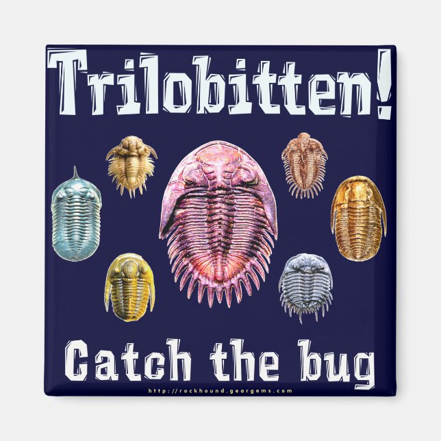 Trilobitten Magnet (Front)