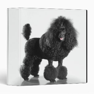 Trimmed black Poodle Binder
