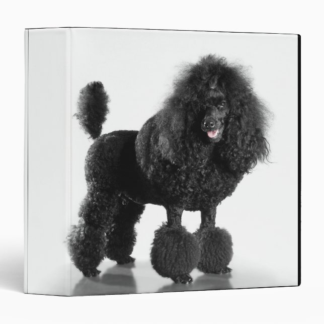 Trimmed black Poodle Binder (Front/Spine)