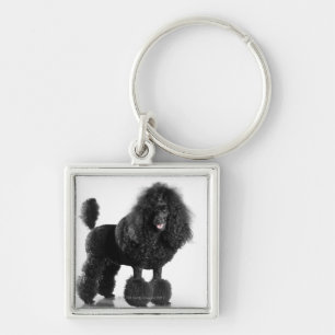 Trimmed black Poodle Keychain