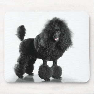 Trimmed black poodle mouse pad