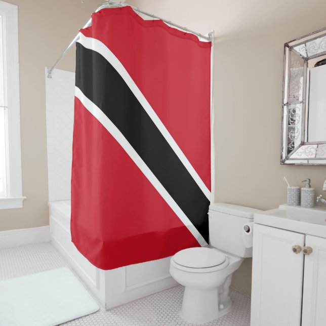 Trinidad and Tobago flag (In Situ)