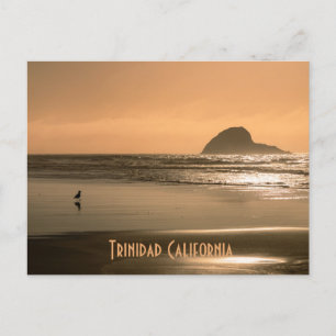 Trinidad California Postcard