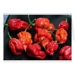 Trinidad Scorpion Hottest Chilli