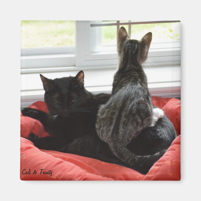 Trinity & Cali Magnet (Front)