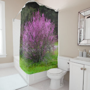 Trinity County Red Bud tree.....