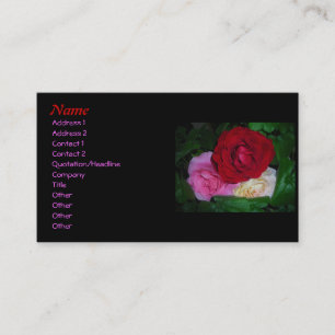 Trio de Cartes de visite Rose