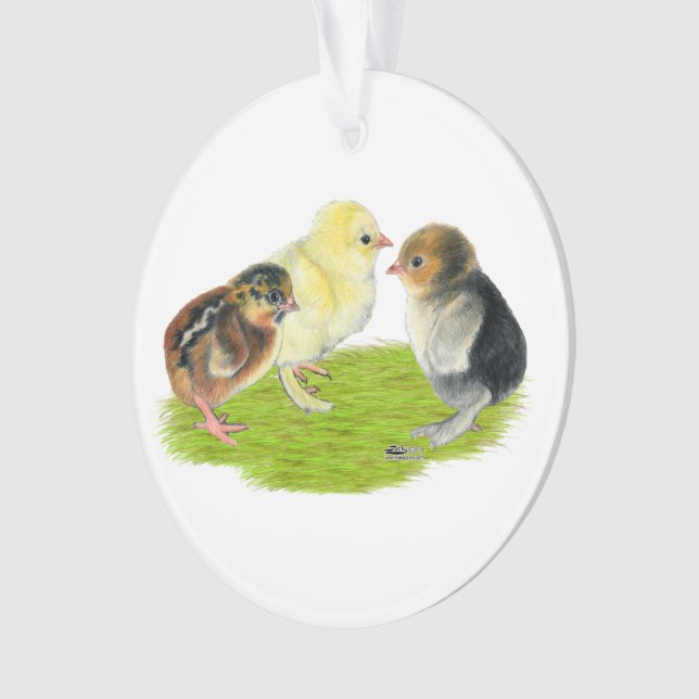 Trio de poussins (devant)