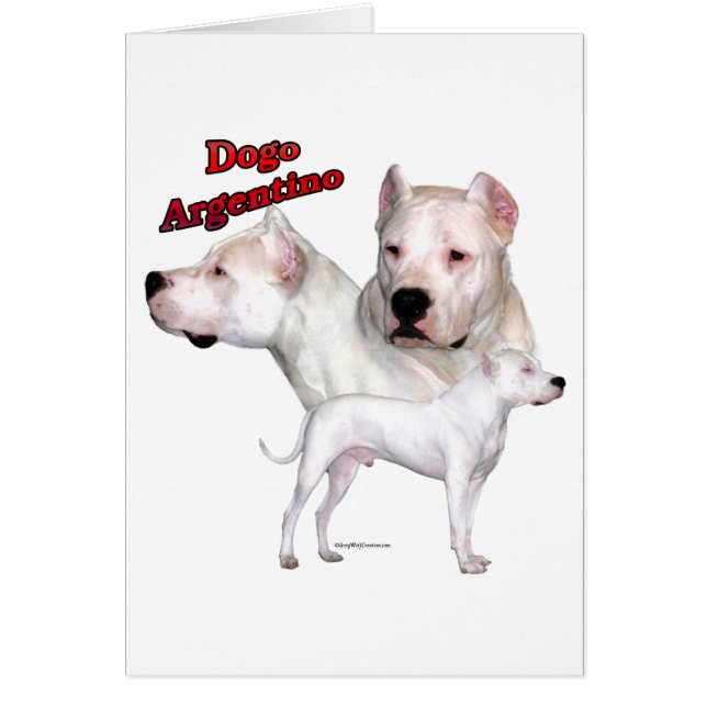 Trio Dogo Argentino 2 (Devant)