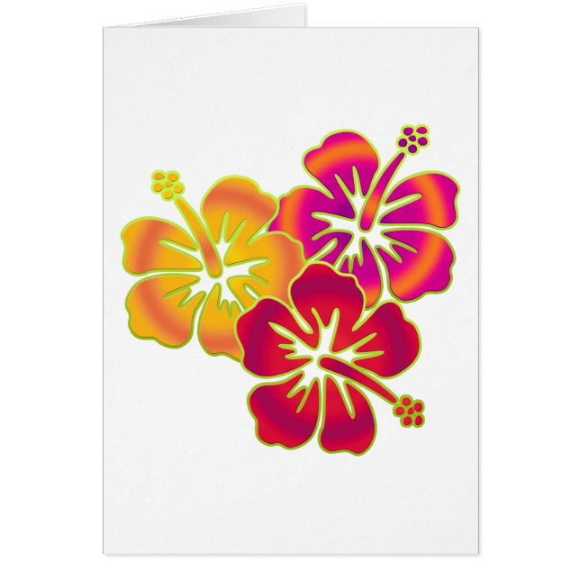 trio hibiscus (Devant)