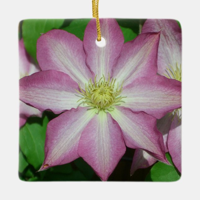 Trio of Clematis Pink and White Spring Vine Ceramic Ornament (Front)