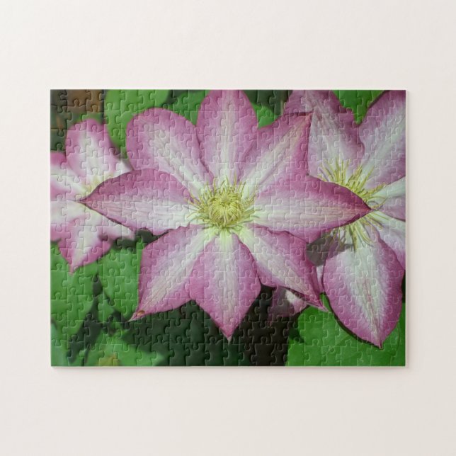 Trio of Clematis Pink and White Spring Vine Jigsaw Puzzle (Horizontal)