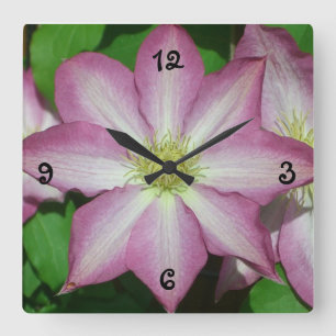 Trio of Clematis Pink and White Spring Vine Square Wall Clock