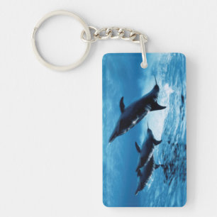 Trio of Dolphins Keychain