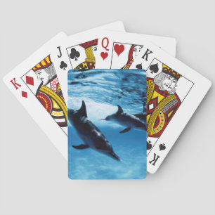 Trio of Dolphins Playing Cards