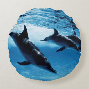 Trio of Dolphins Round Pillow