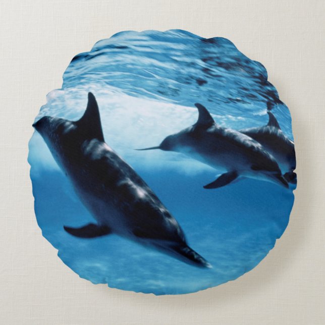 Trio of Dolphins Round Pillow (Front)