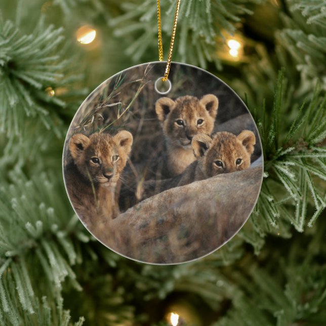 Trio of Lion Cubs with Mother Ceramic Ornament (Tree)