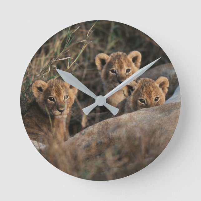 Trio of Lion Cubs with Mother Round Clock (Front)