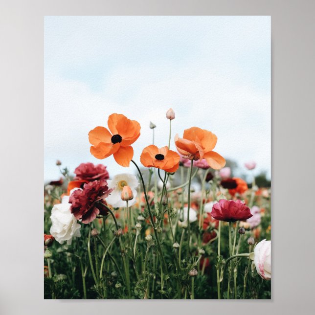 Trio of Orange Flowers Poster Print (Front)