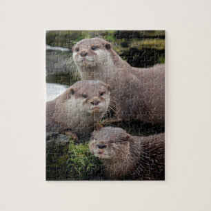 Trio of Otters Jigsaw Puzzle