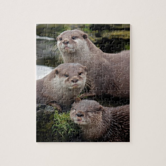 Trio of Otters Jigsaw Puzzle (Vertical)