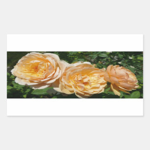 Trio of Peach Roses Floral Sticker