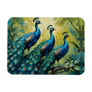 Trio of Peacocks in the jungle forest Magnet