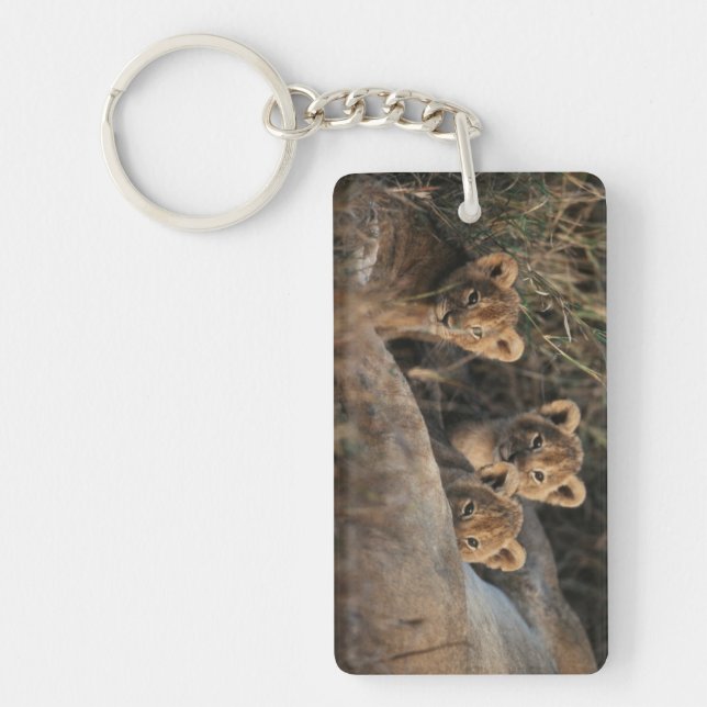 Trio of six week old Lion cubs sitting Keychain (Front)