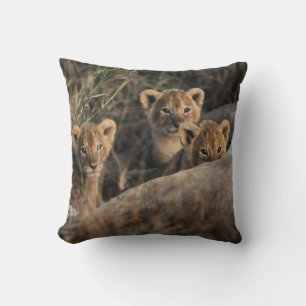 Trio of six week old Lion cubs sitting Throw Pillow