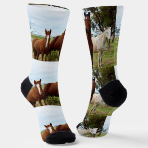 Trio Of Sweet Horses, Crew Socks