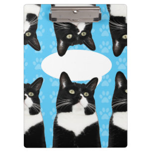 Triple Cute Kitty Clipboard