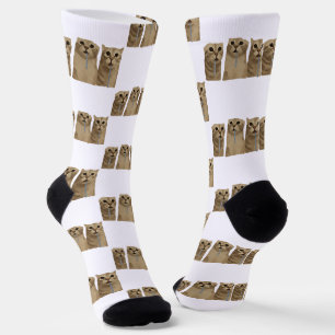 Triple Drooling Goofy Cats Meme Socks