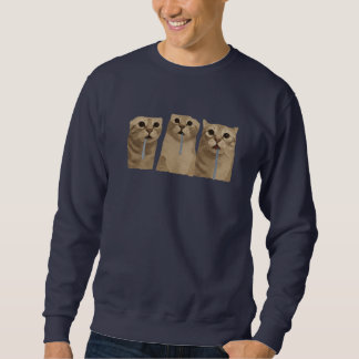 Triple Drooling Goofy Cats Meme Sweatshirt