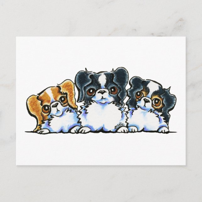 Triple Japanese Chin Postcard (Front)